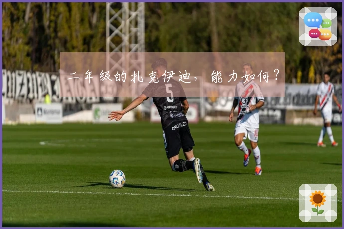 二年级的扎克伊迪，能力如何？