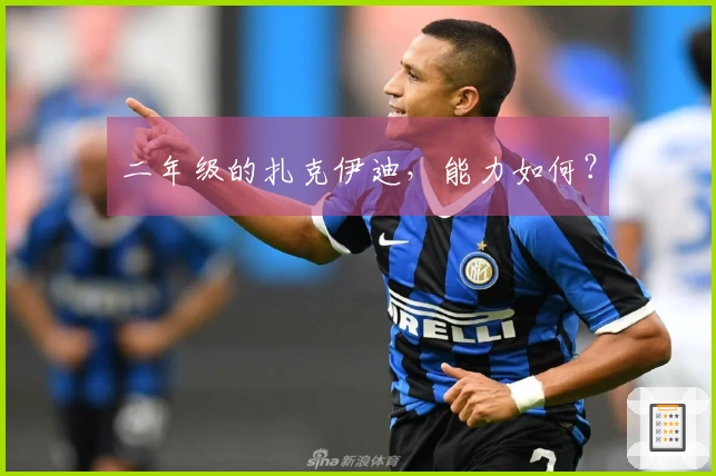 二年级的扎克伊迪，能力如何？